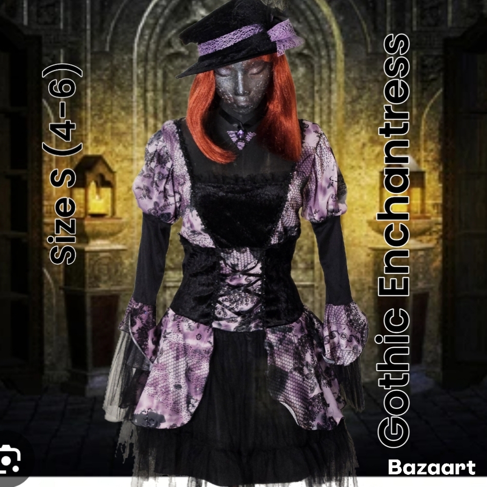 Gothic Enchantress Costume W/ Wig, Hat, Dress, Fishnet Stockings Size S (4-6)
